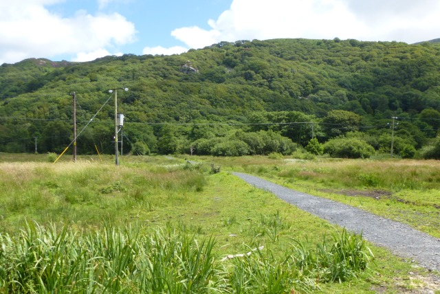 Arthog Bog Nature Reserve