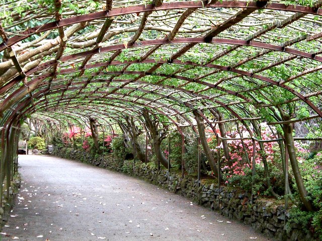 Bodnant-Garden