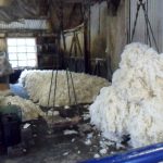 trefriw-woollen-mill